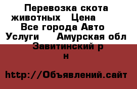 Перевозка скота животных › Цена ­ 39 - Все города Авто » Услуги   . Амурская обл.,Завитинский р-н